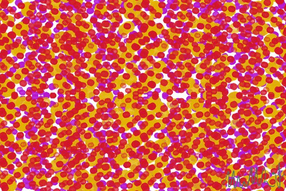 GA#218 color spot