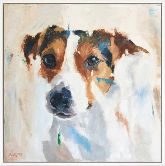 Jack Russell Terrier 2 - Framed Oil On Canvas board - 63cm x 63cm