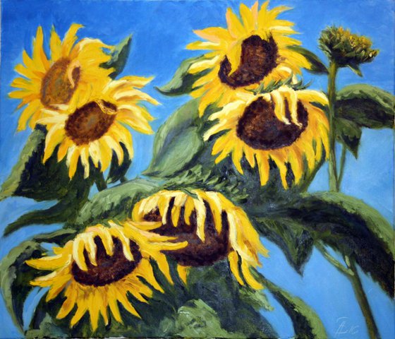 Sunflowers