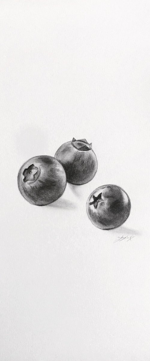 Blueberries by Amelia Taylor