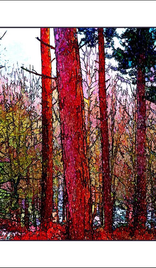 Coloured Trees by Martin  Fry