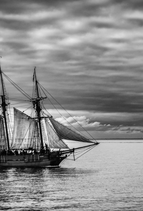 Tall ship on the bay by Michelle Williams Photography