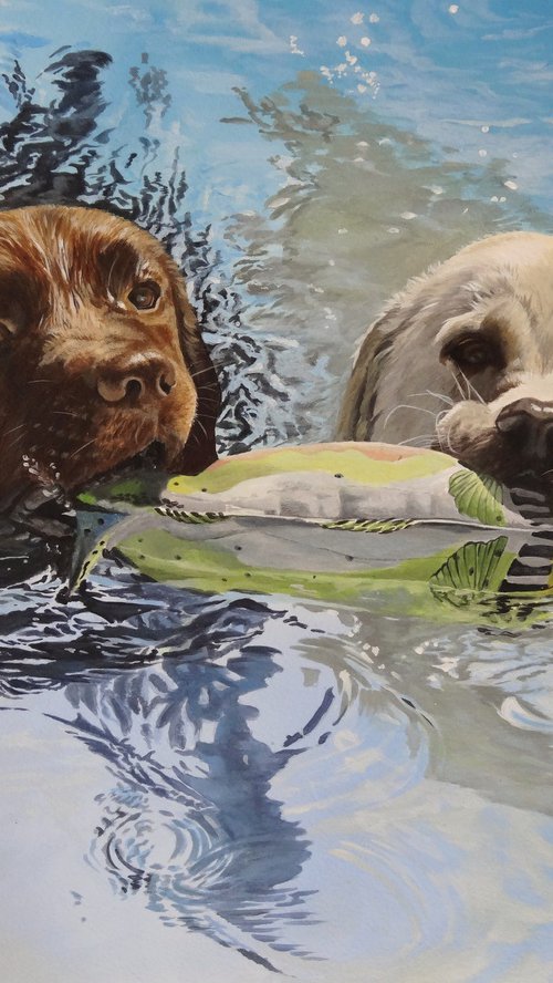 Kenko and Tetley by Julian Wheat