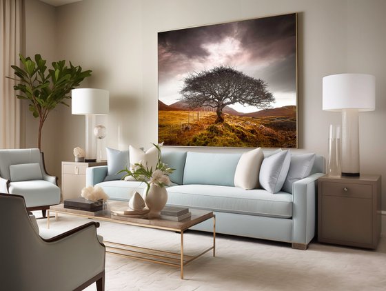 The One Tree, Isle of Skye