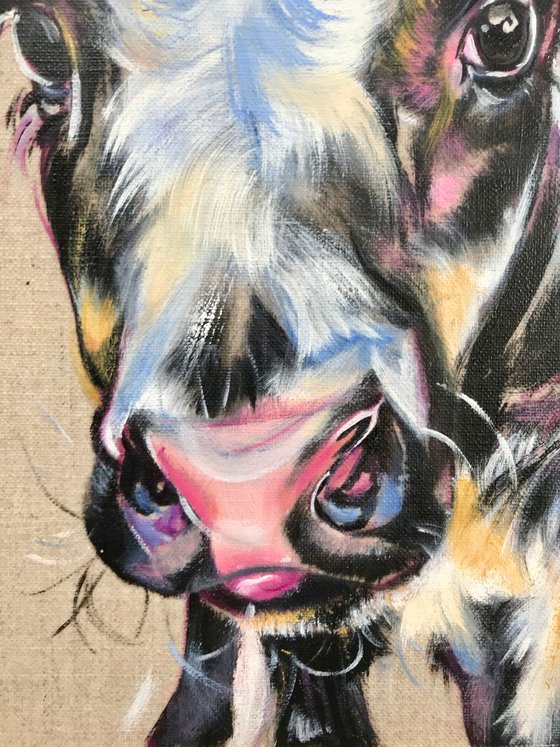 Princess - Black & White Calf Cow original oil painting on linen on board