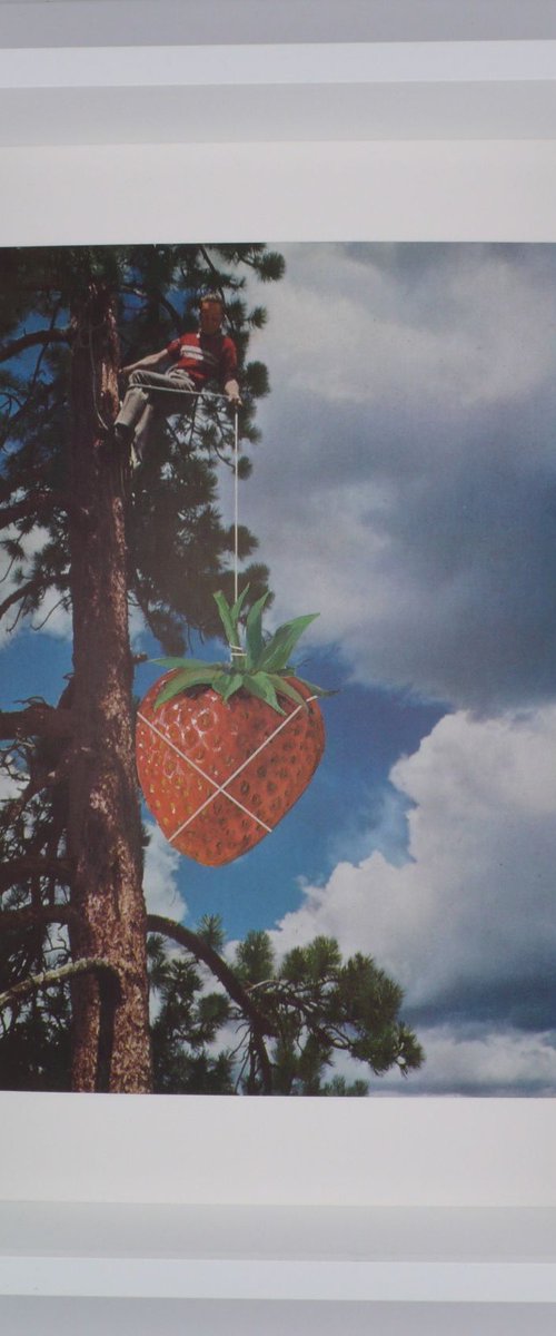 Strawberry Picker by Paper Draper