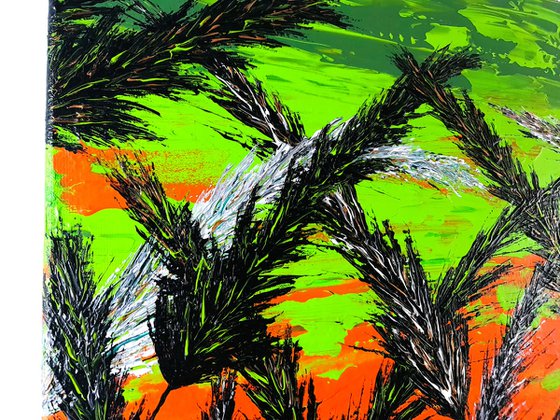 Grass In Green Color