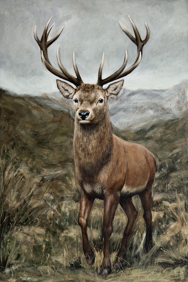 Photorealistic Animal Acrylic Painting By Elena Adele Dmitrenko, 24 X 35, Deer, Original Artwork