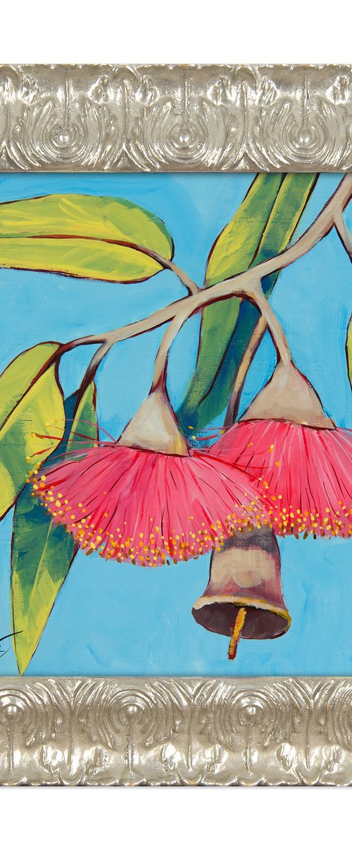 Summer Beauty – Australian pink flowering Eucalyptus by Irina Redine
