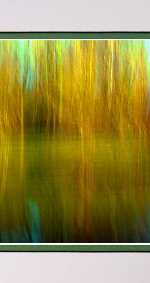 Vibrant Woodland Pond with ICM (intentional camera movement) by Robin Clarke