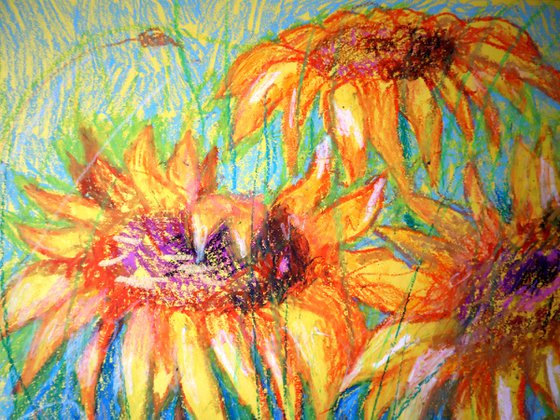 My Sunflowers