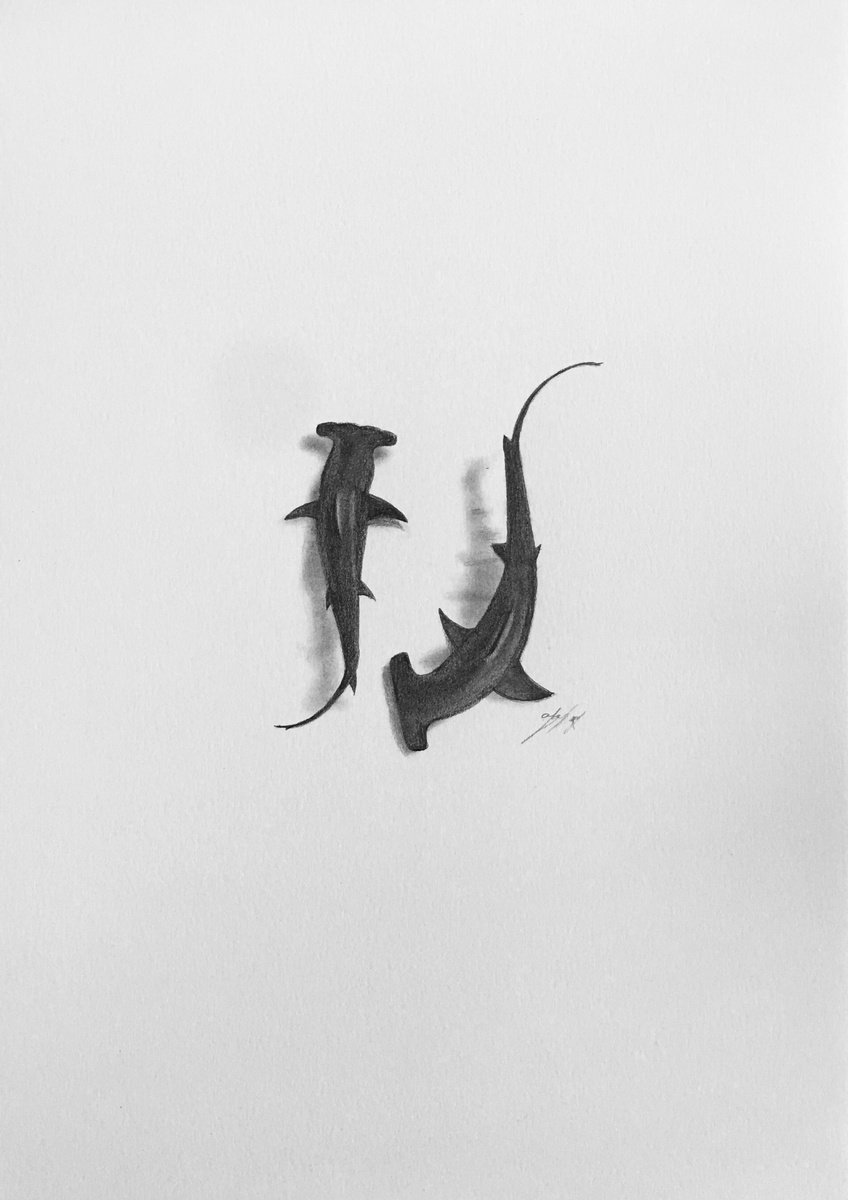 Hammerhead sharks by Amelia Taylor