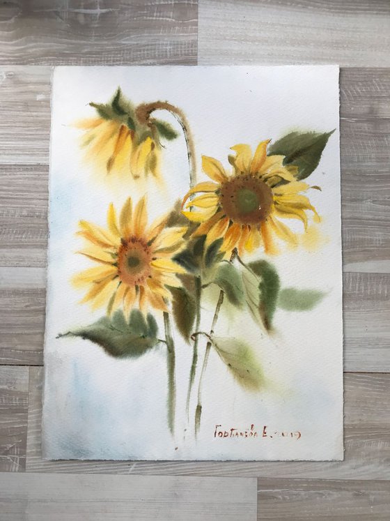 Sunflowers