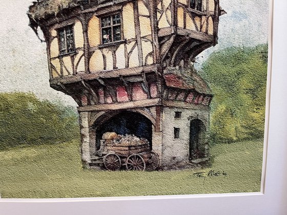 A big house for a small plot