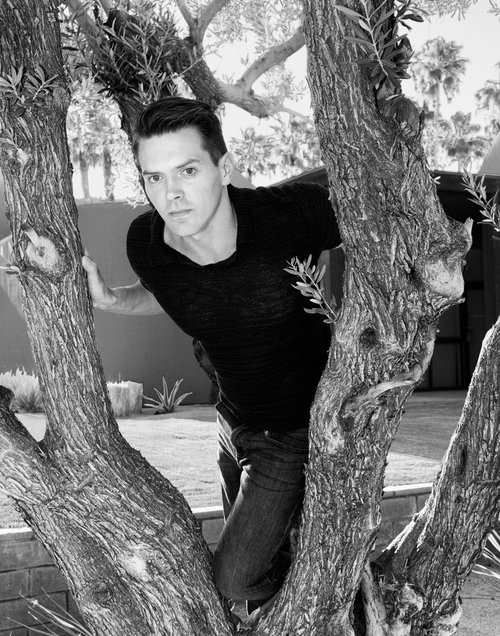 IN THE TREE Palm Springs CA by William Dey