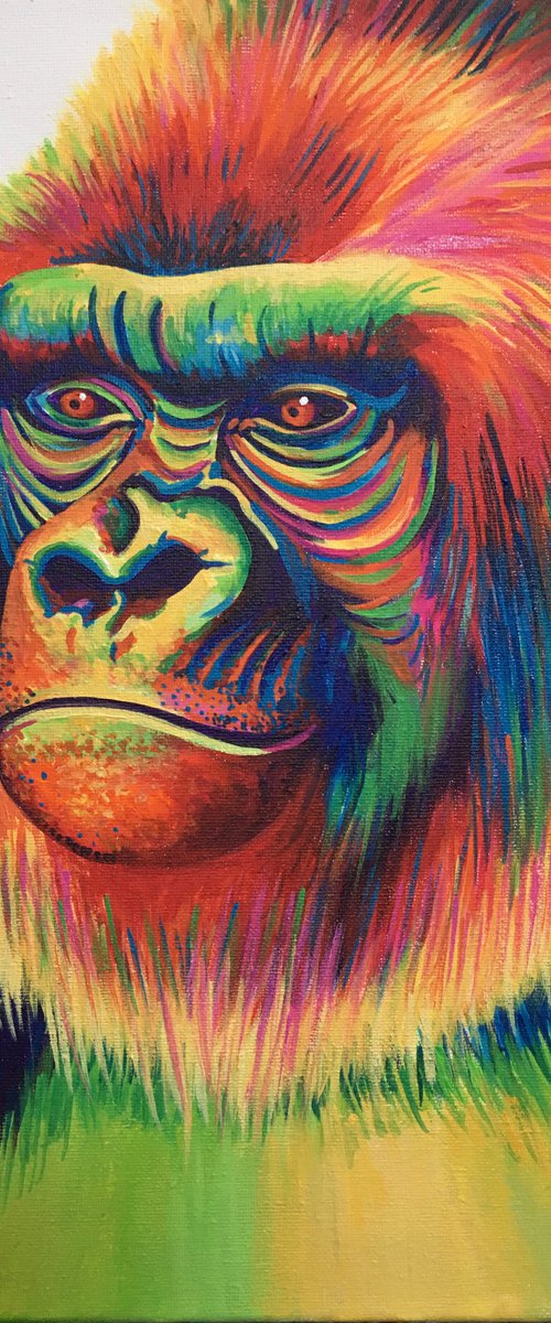 Gary the Rainbow Gorilla by Tiffany Budd