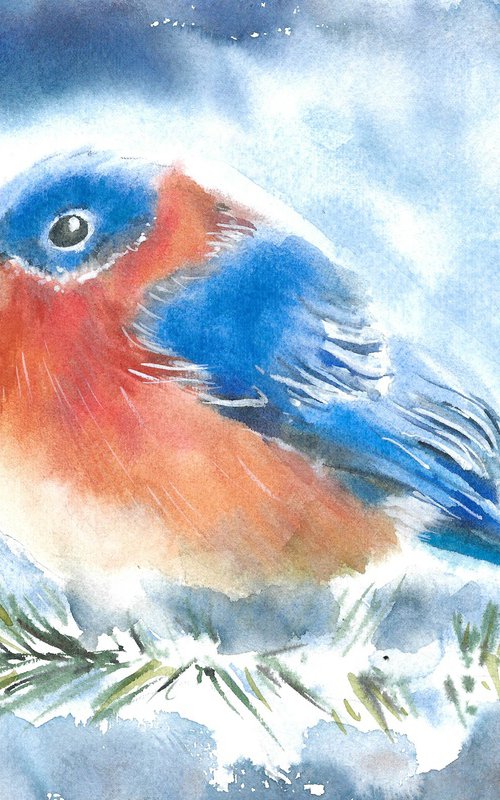 Watercolor robin bird on a fir tree branch. Blue snowy background. Winter illustration. by Tanya Amos