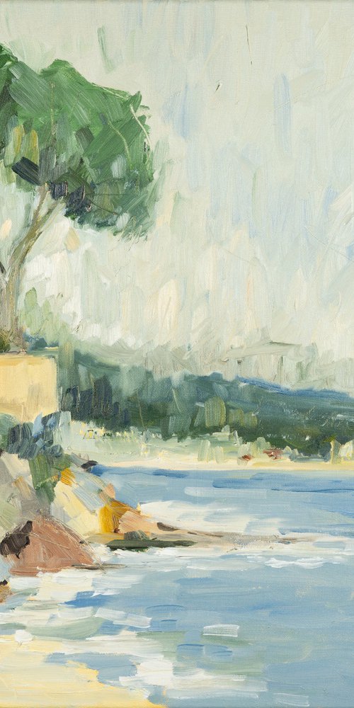 Coastal View by Irina Anis