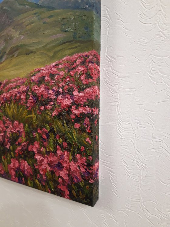 Spring in the mountains