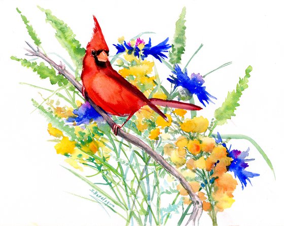 cardinal bird and wildflowers