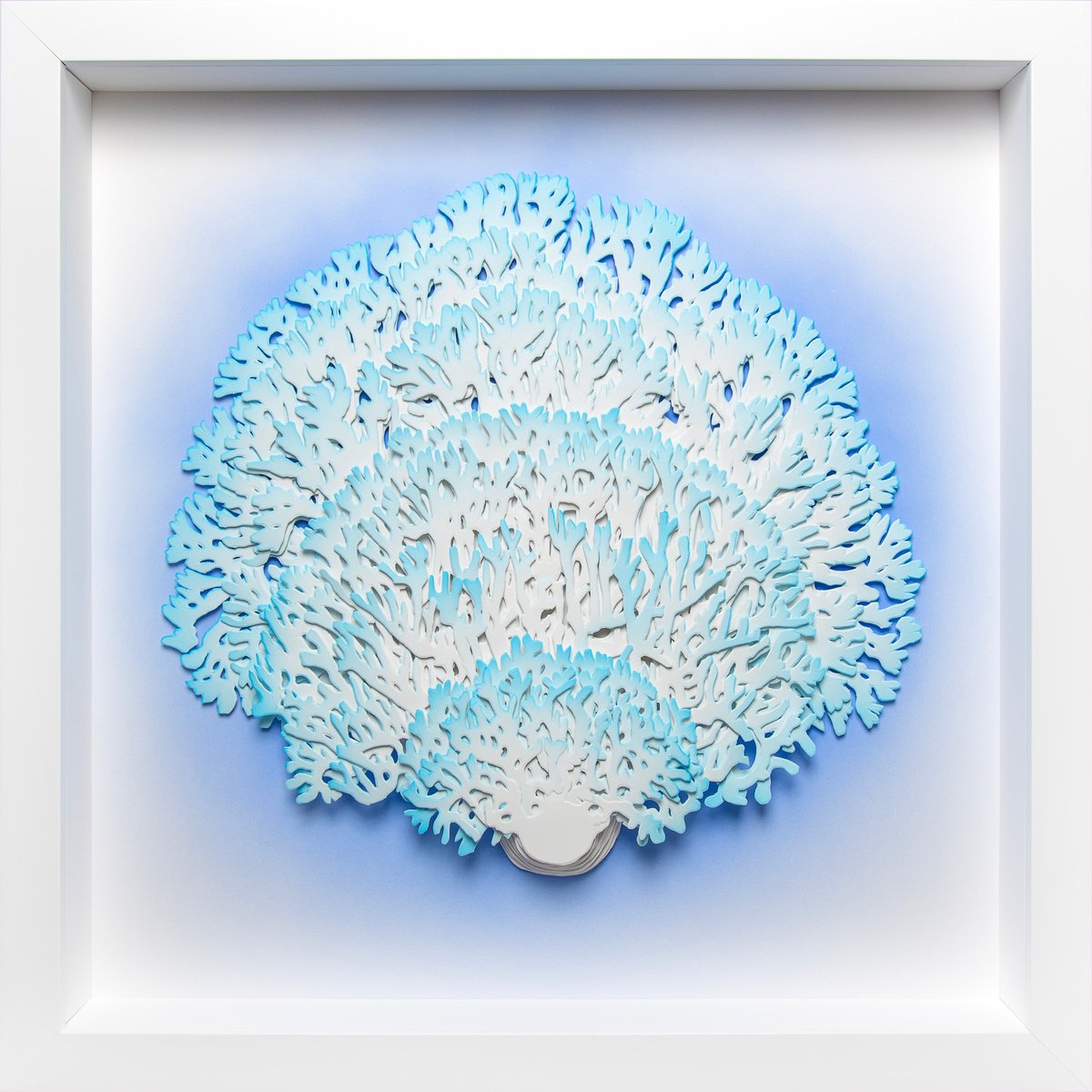 Coral By Olga Skorokhod, 21 X 21, Artwork For Sale On Artfinder