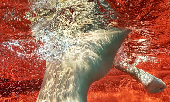 Blood and Milk VIII - underwater nude photograph - archival pigment print 35x26"