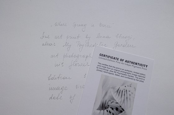 Where the Spring Born