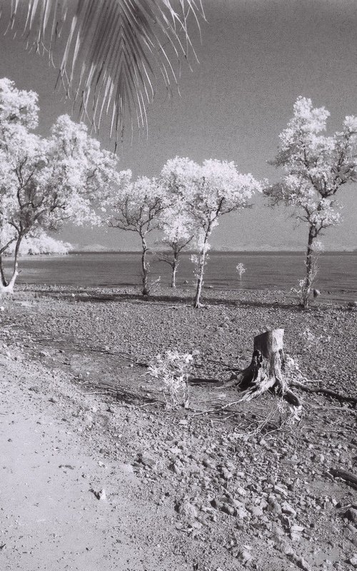 The invisible world series. Thailand in Infrared by Delnara El