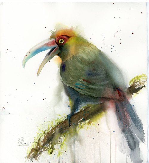 Green-billed toucan by Olga Shefranov (Tchefranov)