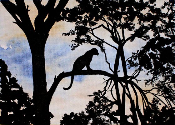 The shadows of Africa (cheetah. 1)