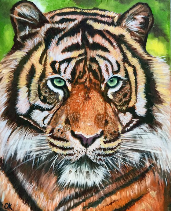 Tiger . Green eyes.