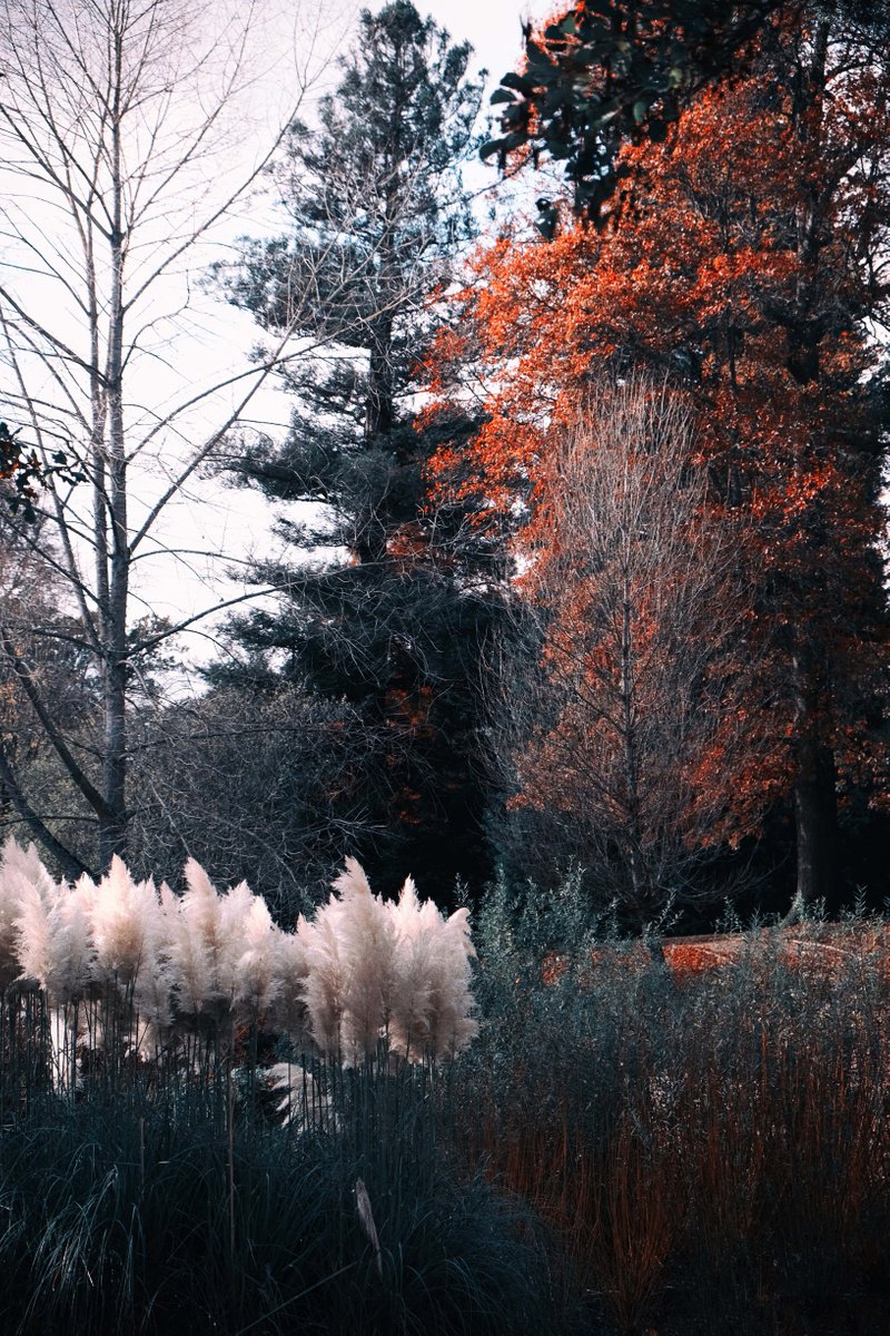 Autumn Light by Neil Hemsley