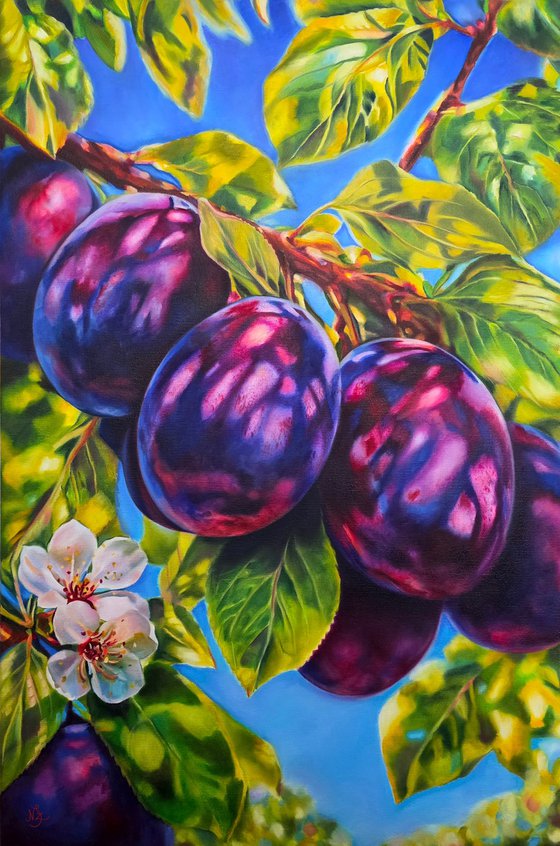 Plum in the sunlight