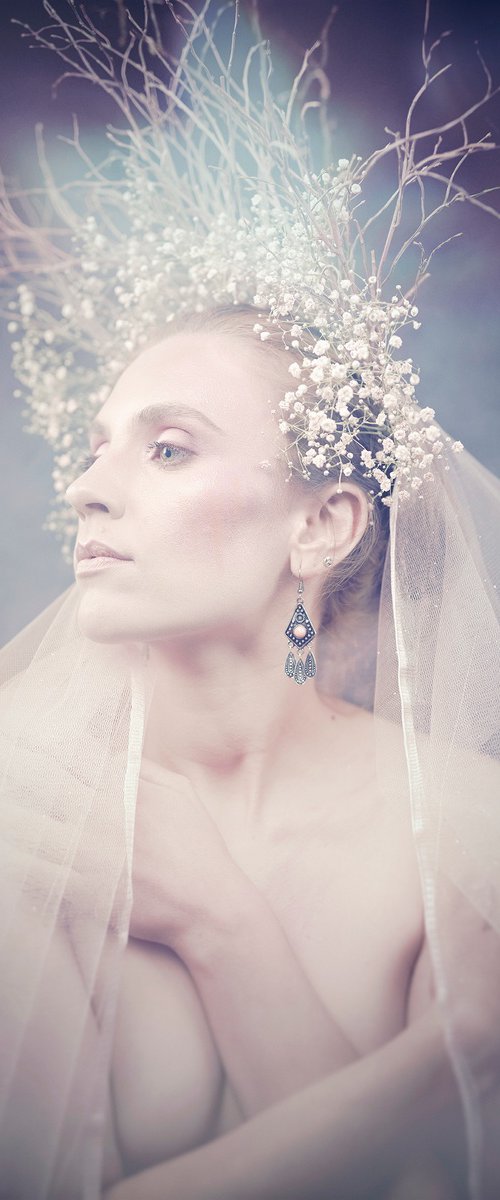 Rose by Cédric Brion