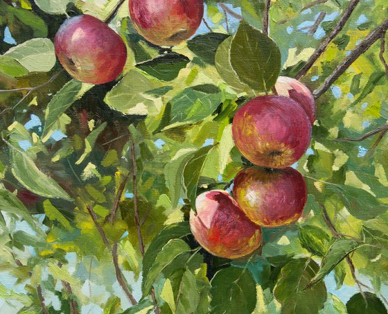 Apples. Oil painting. Original Art. 20 x 24in