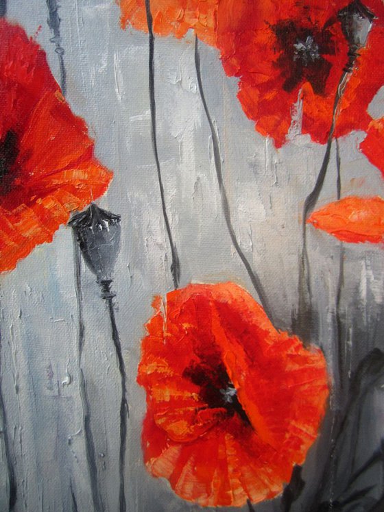 Poppies