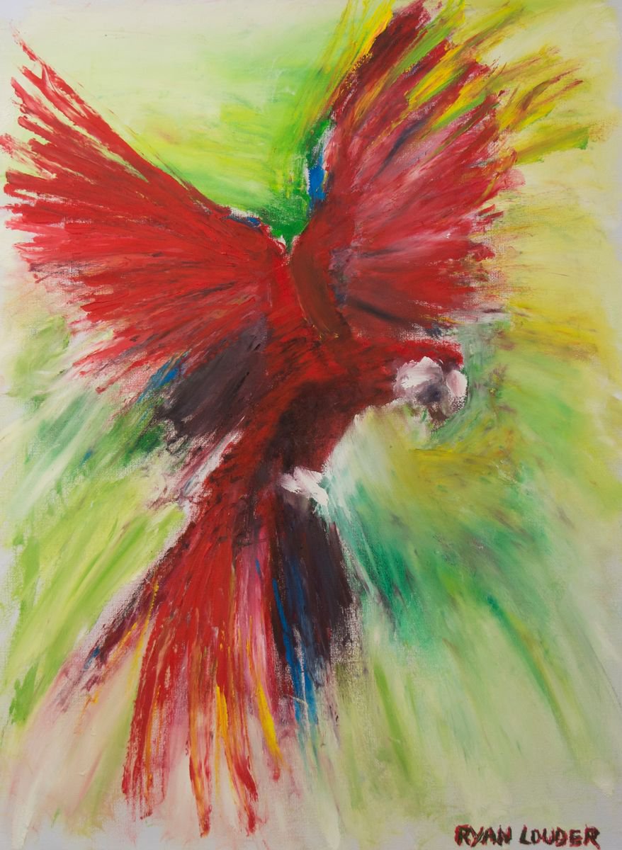 Bird Painting Macaw In Flight by Ryan Louder