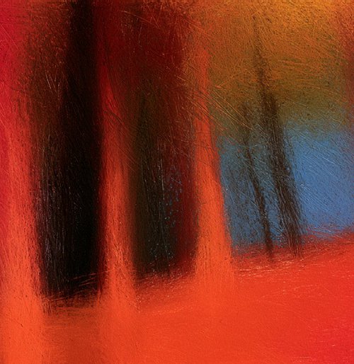 Forest in color by Ivan Colas