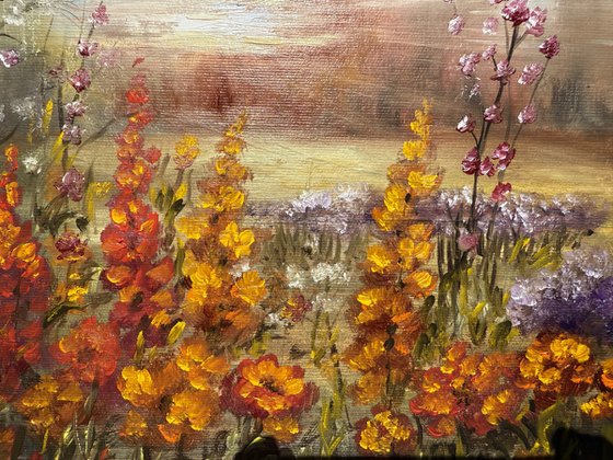 A meadow in bloom