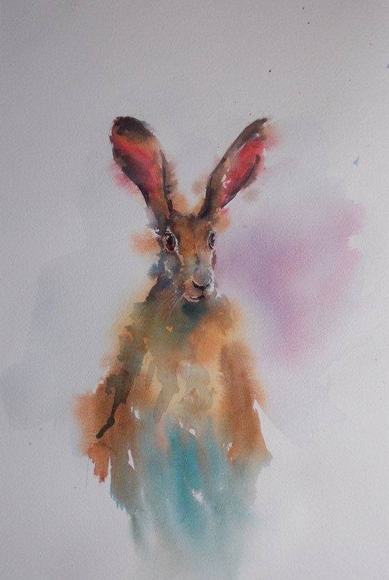 hare 4