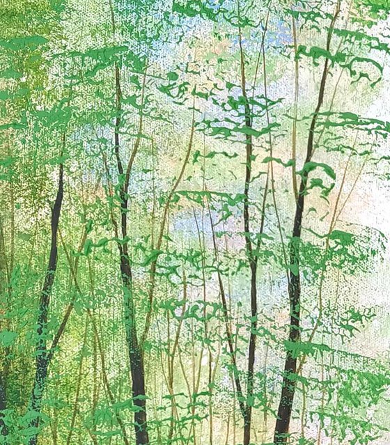 Forest Life
