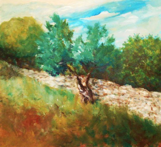 Olive tree