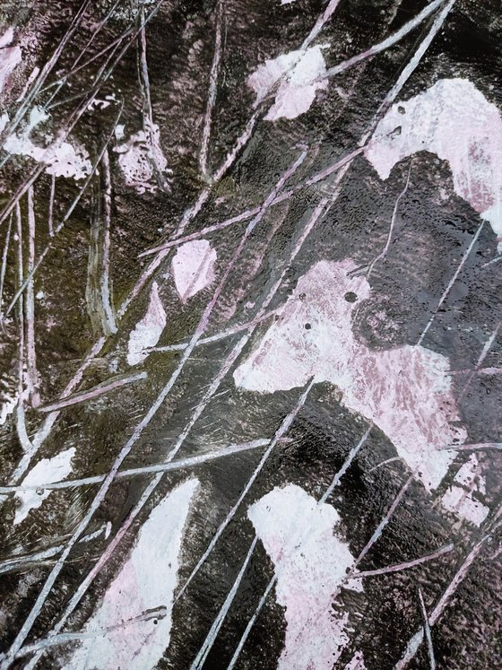 Leave No Trace /50