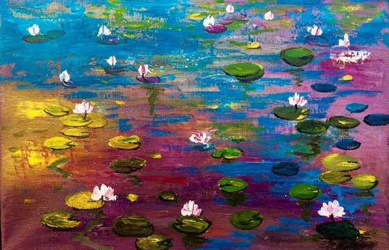 Lilies pond