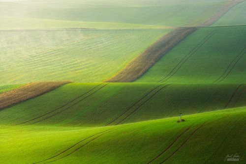 Beginning the new day in Moravia by Janek Sedlar