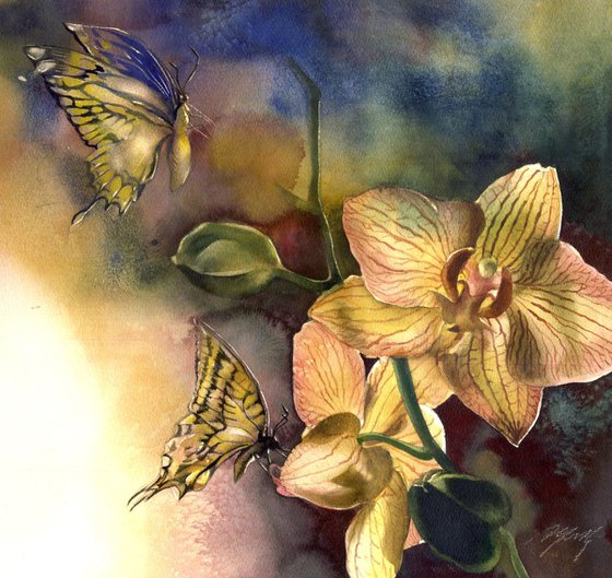 Butterflies with orchid