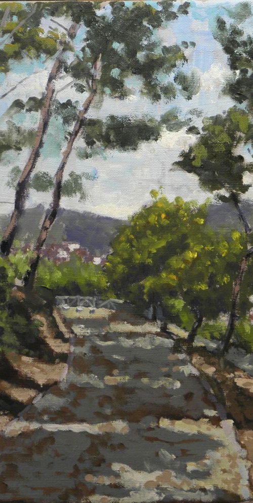 Camí al parc del Guinardó by Víctor Susín