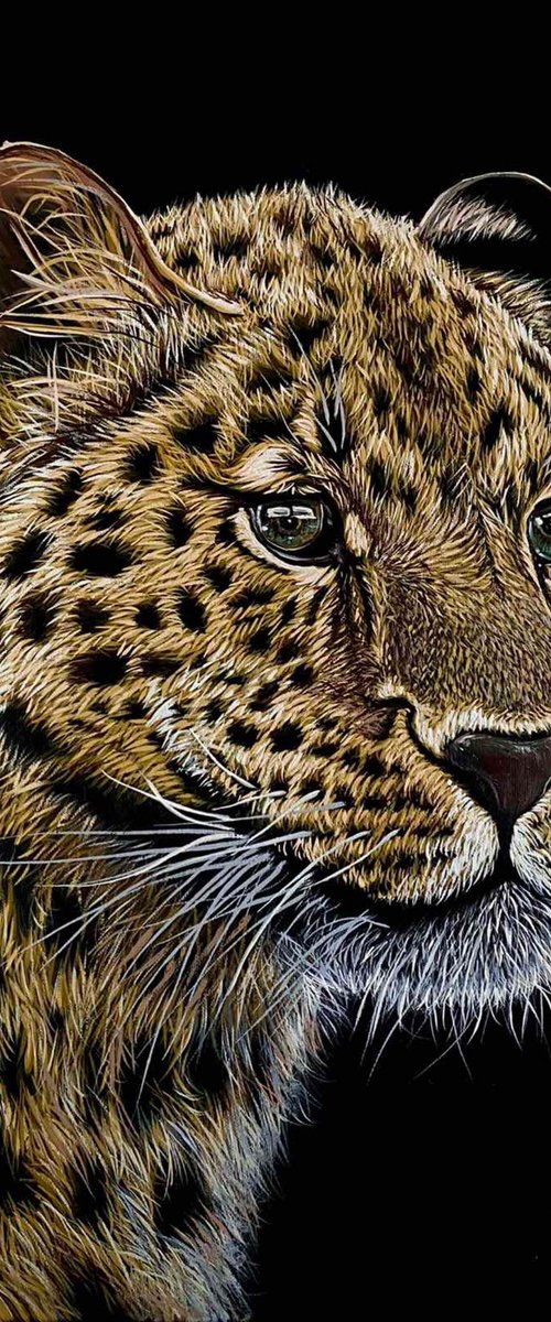 Leopard by Elena Adele Dmitrenko