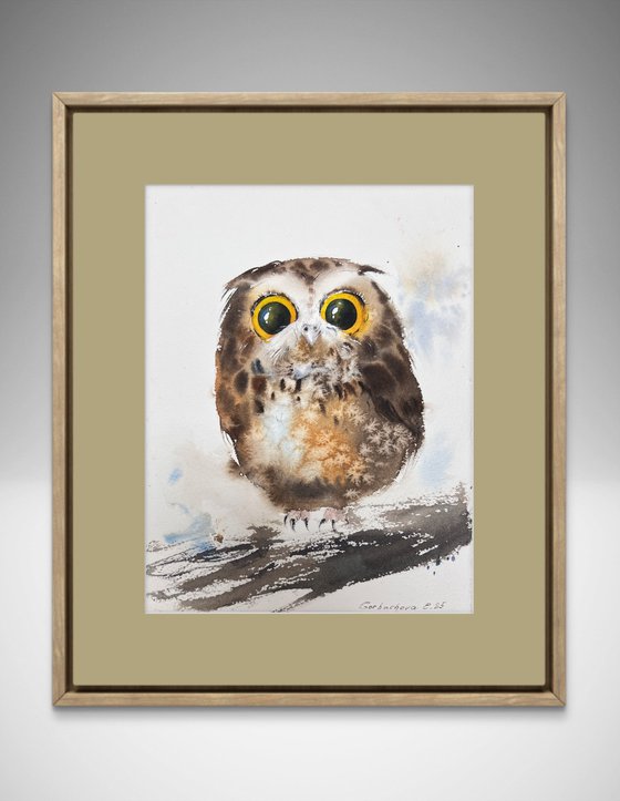 Amber-Eyed Owlet