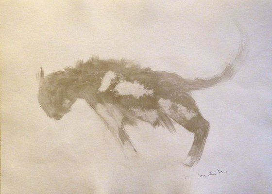 Fluffy Grey Cat, ink drawing 29x42 cm